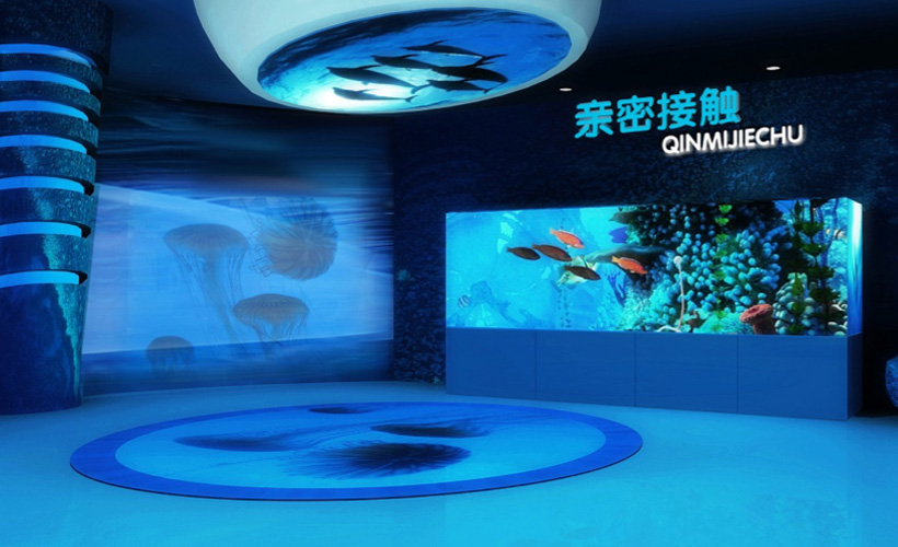 Space the fish tank